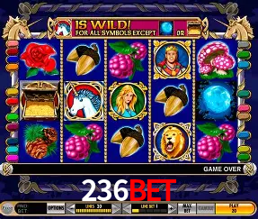 Descubra o Mundo do Cassino Online com 236BET